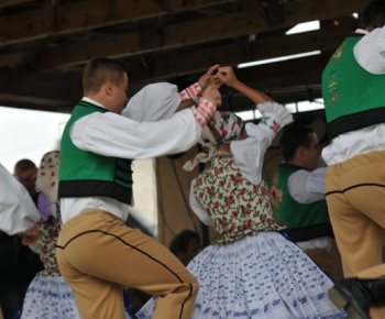 MDD 2013