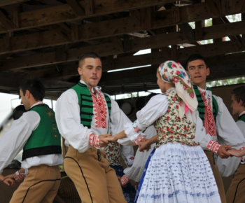 MDD 2013