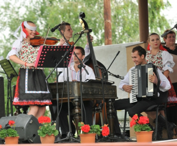 MDD 2013