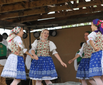 MDD 2013