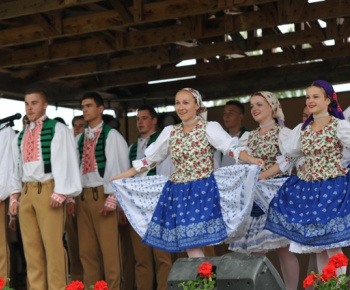 MDD 2013