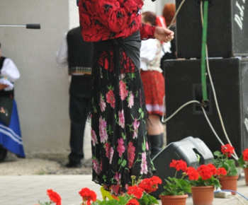 BÁNOVSKÝ ČURBES 2013