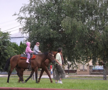 Aktuality / Bánovský ČURBES 2013
