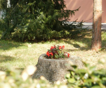 Aktuality / Budovy obce v novom šate