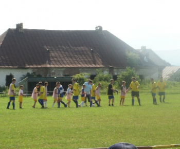 Stavanie mája 2015