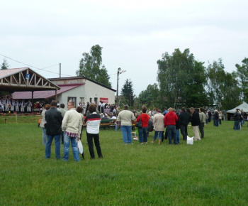 MDD 2015