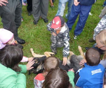 Aktuality / BÁNOVSKÝ ČURBES 2010